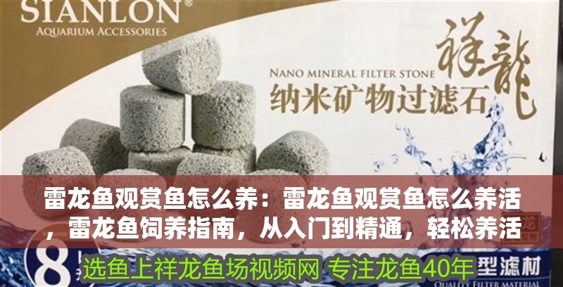 雷龍魚觀賞魚怎么養：雷龍魚觀賞魚怎么養活，雷龍魚飼養指南，從入門到精通，輕松養活觀賞