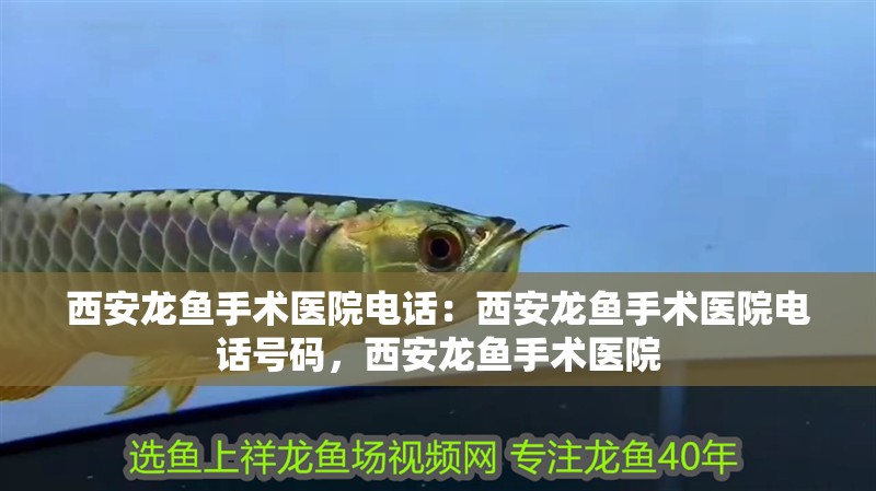 <strong><mark>西安</mark></strong>龍魚手術(shù)醫(yī)院電話：<strong><mark>西安</mark></strong>龍魚手術(shù)醫(yī)院電話號碼，<strong><mark>西安</mark></strong>龍魚手術(shù)醫(yī)院
