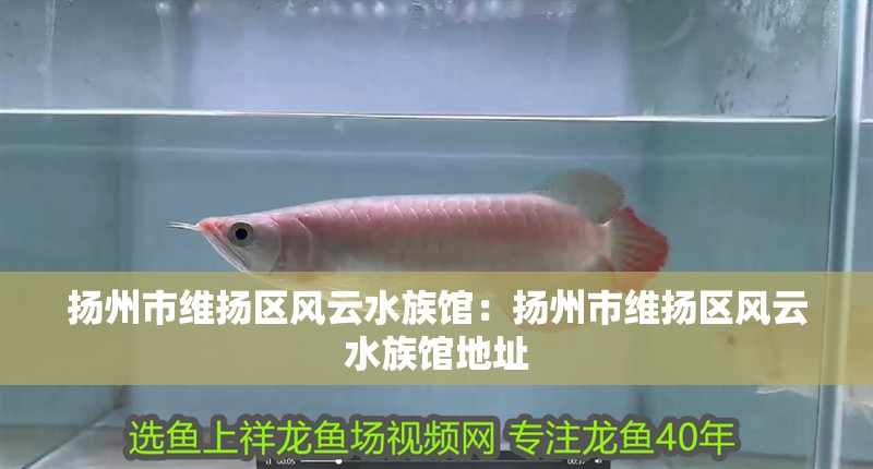 揚州市維揚區風云水族館：揚州市維揚區風云水族館地址