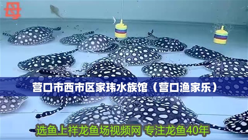 營(yíng)口市西市區(qū)家瑋水族館（營(yíng)口漁家樂）