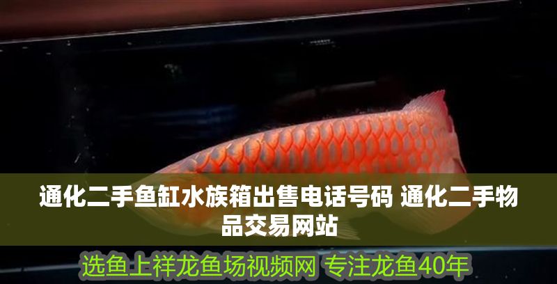 通化二手魚缸水族箱出售電話號碼 通化二手物品交易網站