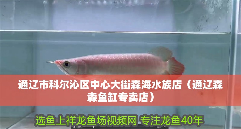 通遼市科爾沁區(qū)中心大街森海水族店（通遼森森魚缸專賣店）