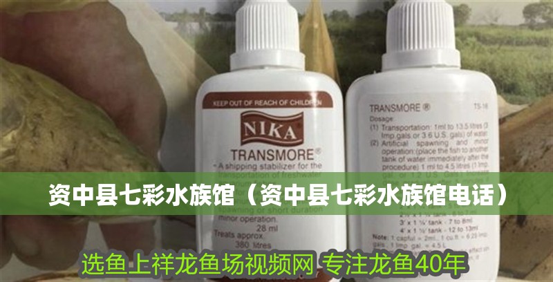資中縣七彩水族館（資中縣七彩水族館電話）