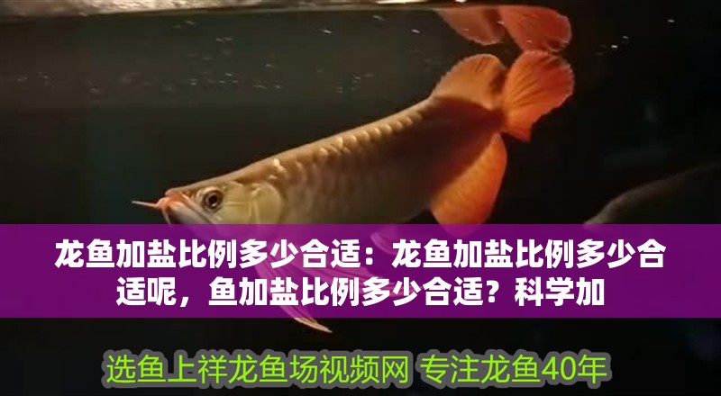 龍魚(yú)加鹽比例多少合適：龍魚(yú)加鹽比例多少合適呢，魚(yú)加鹽比例多少合適？科學(xué)加