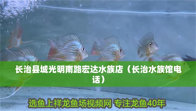 長治縣城光明南路宏達水族店（長治水族館電話）
