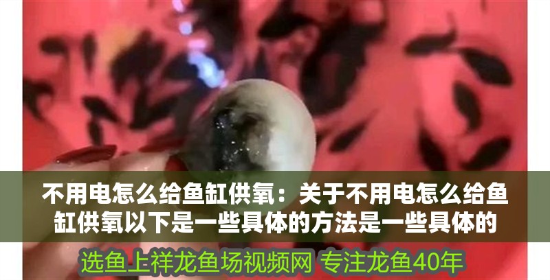不用電怎么給魚缸供氧：關于不用電怎么給魚缸供氧以下是一些具體的方法是一些具體的