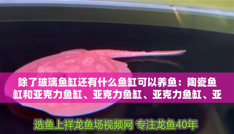 除了玻璃魚缸還有什么魚缸可以養魚：陶瓷魚缸和亞克力魚缸、亞克力魚缸、亞克力魚缸、亞克力魚缸