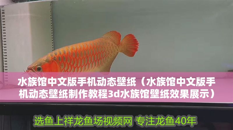 水族館中文版手機動態壁紙（水族館中文版手機動態壁紙制作教程3d水族館壁紙效果展示） 水族館中文版手機動態壁紙（水族館中文版手機動態壁紙制作教程3d水族館壁紙效果展示） 水族館百科（水族館加盟） 第1張