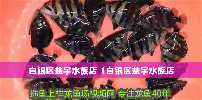 白銀區(qū)益宇水族店（白銀區(qū)益宇水族店 白銀區(qū)益宇水族店（白銀區(qū)益宇水族店 全國(guó)水族館企業(yè)名錄 第2張