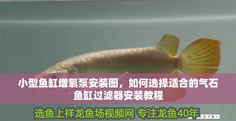 小型魚缸增氧泵安裝圖，如何選擇適合的氣石魚缸過濾器安裝教程