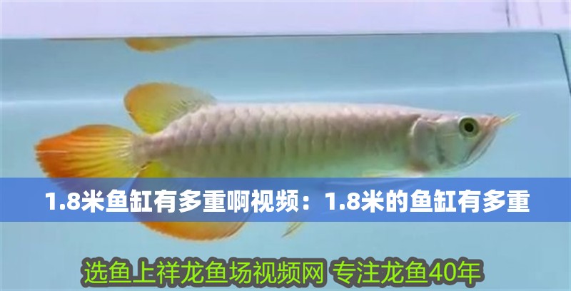 1.8米魚缸有多重啊視頻：1.8米的魚缸有多重
