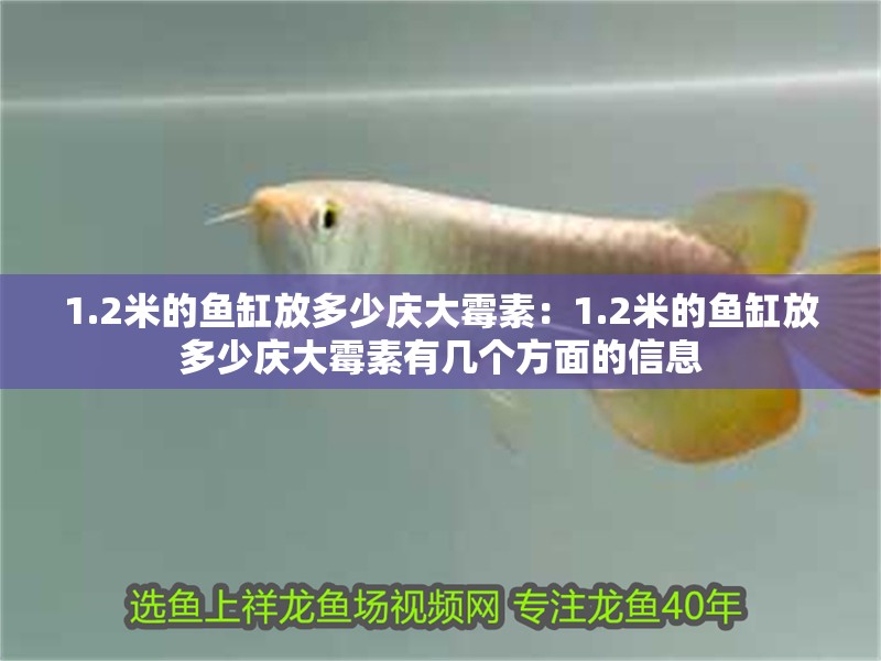 1.2米的魚缸放多少慶大霉素：1.2米的魚缸放多少慶大霉素有幾個方面的信息