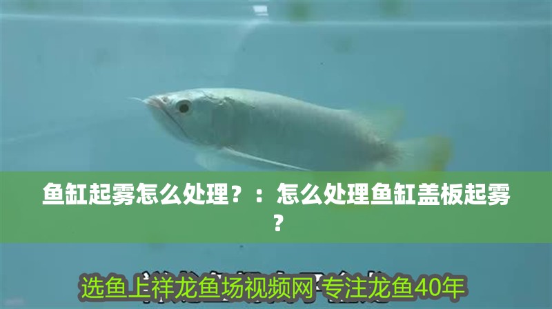 魚缸起霧怎么處理？：怎么處理魚缸蓋板起霧？