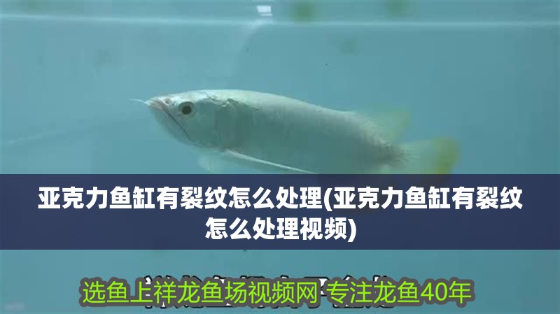 亞克力魚缸有裂紋怎么處理(亞克力魚缸有裂紋怎么處理視頻)