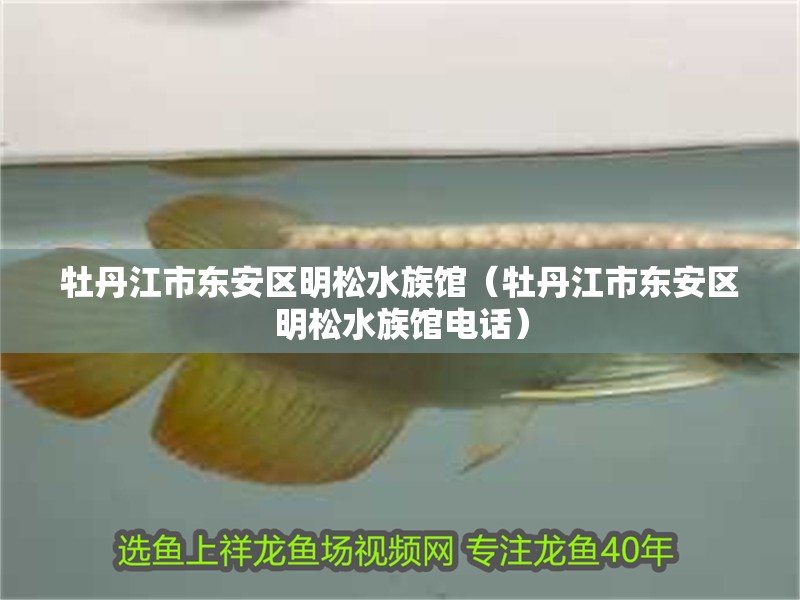 牡丹江市東安區(qū)明松水族館（牡丹江市東安區(qū)明松水族館電話）