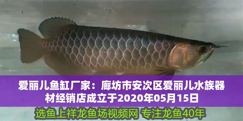 愛麗兒魚缸廠家：廊坊市安次區愛麗兒水族器材經銷店成立于2020年05月15日
