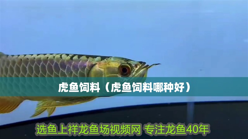 虎魚飼料（虎魚飼料哪種好）