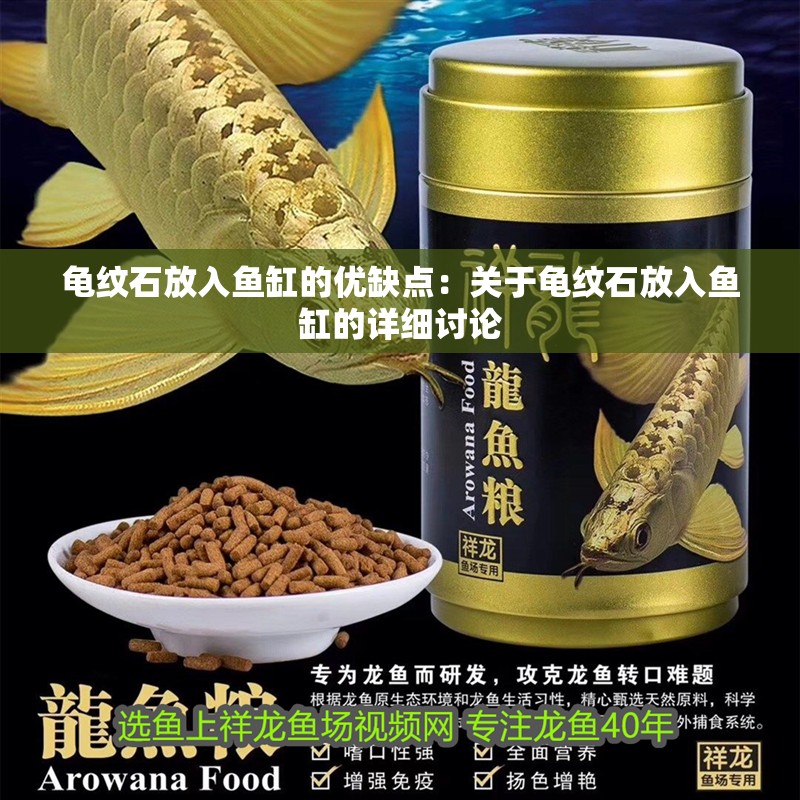 龜紋石放入魚缸的優(yōu)缺點：關于龜紋石放入魚缸的詳細討論