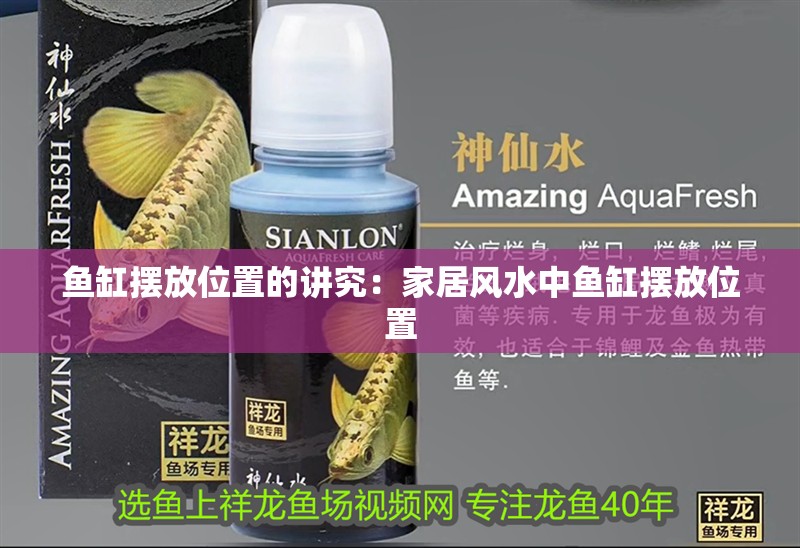 魚缸擺放位置的講究：家居風水中魚缸擺放位置