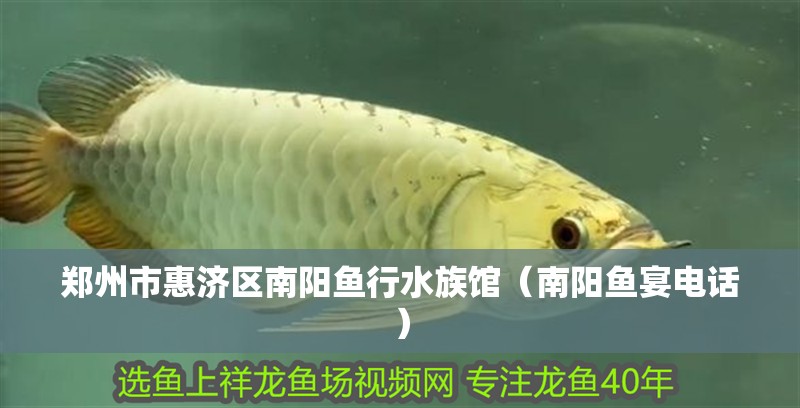鄭州市惠濟區南陽魚行水族館（南陽魚宴電話）