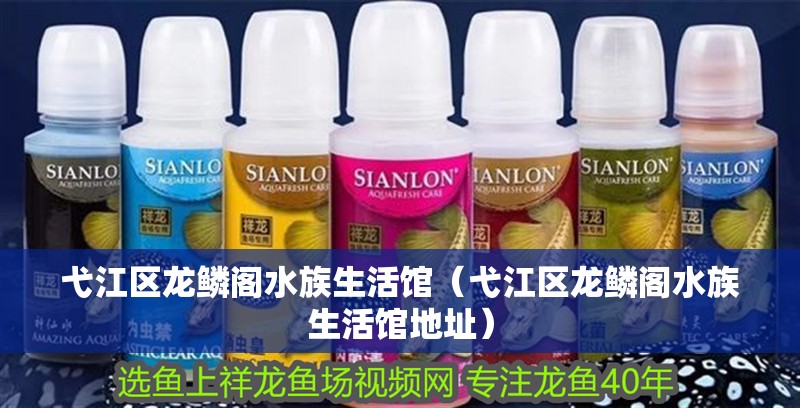 弋江區龍鱗閣水族生活館（弋江區龍鱗閣水族生活館地址）