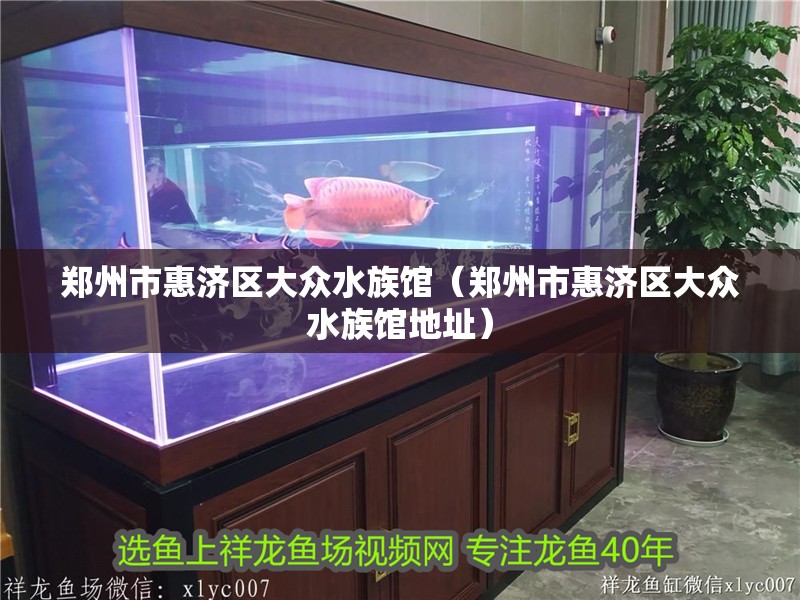 鄭州市惠濟區大眾水族館（鄭州市惠濟區大眾水族館地址）