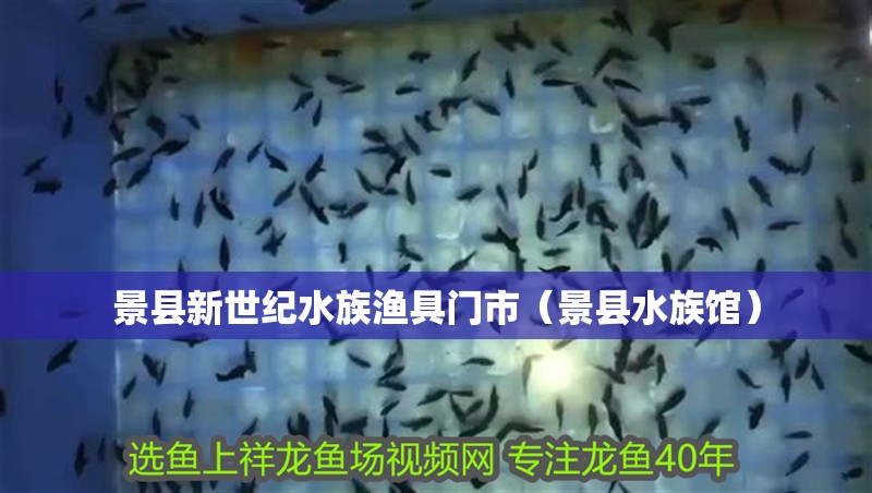 景縣新世紀水族漁具門市（景縣水族館）