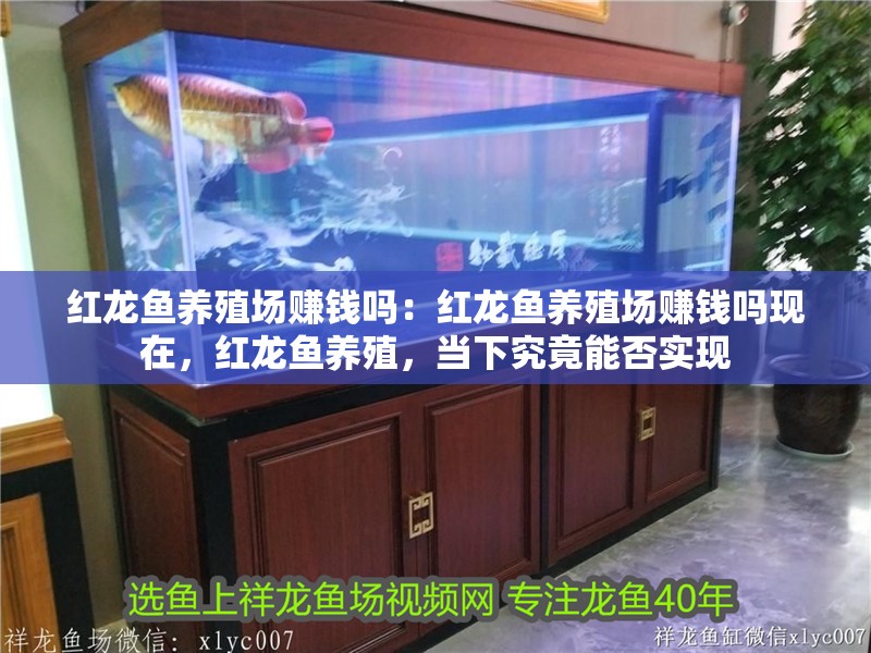 紅龍魚養(yǎng)殖場賺錢嗎：紅龍魚養(yǎng)殖場賺錢嗎現(xiàn)在，紅龍魚養(yǎng)殖，當(dāng)下究竟能否實(shí)現(xiàn)