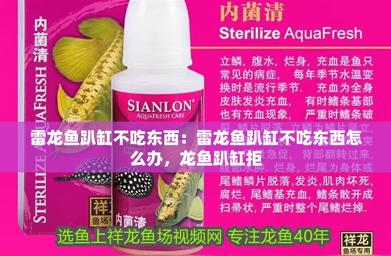 雷龍魚趴缸不吃東西：雷龍魚趴缸不吃東西怎么辦，龍魚趴缸拒