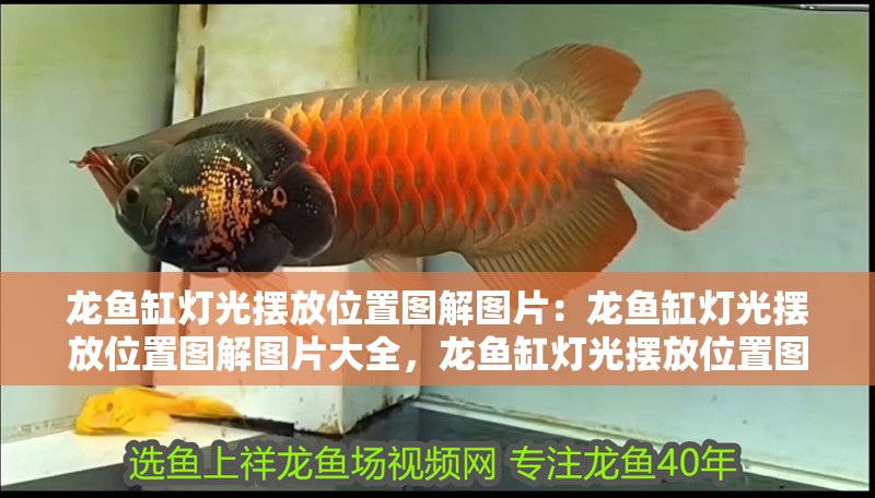 龍魚缸燈光擺放位置圖解圖片：龍魚缸燈光擺放位置圖解圖片大全，龍魚缸燈光擺放位置圖解大全