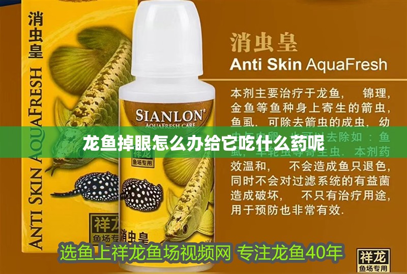 龍魚掉眼怎么辦給它吃什么藥呢