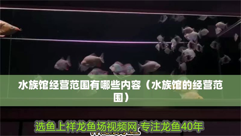 水族館經(jīng)營范圍有哪些內容（水族館的經(jīng)營范圍）