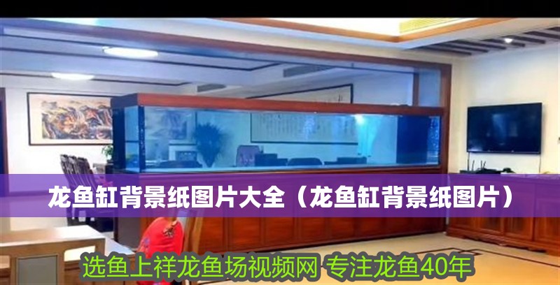 龍魚缸背景紙圖片大全（龍魚缸背景紙圖片）