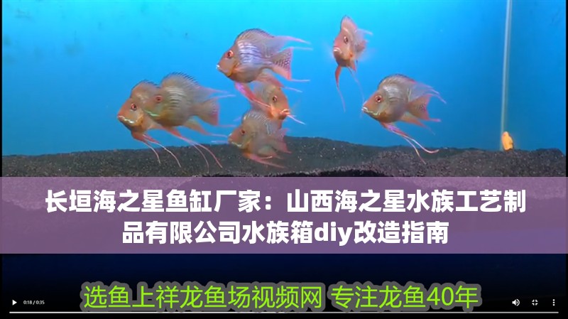 長垣海之星魚缸廠家：山西海之星水族工藝制品有限公司水族箱diy改造指南 長垣海之星魚缸廠家：山西海之星水族工藝制品有限公司水族箱diy改造指南 魚缸百科