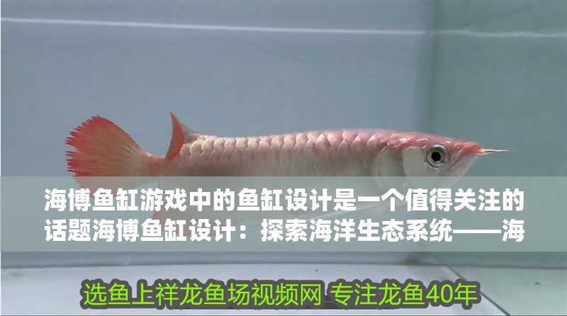 海博魚缸游戲中的魚缸設計是一個值得關注的話題海博魚缸設計：探索海洋生態系統——海博魚缸