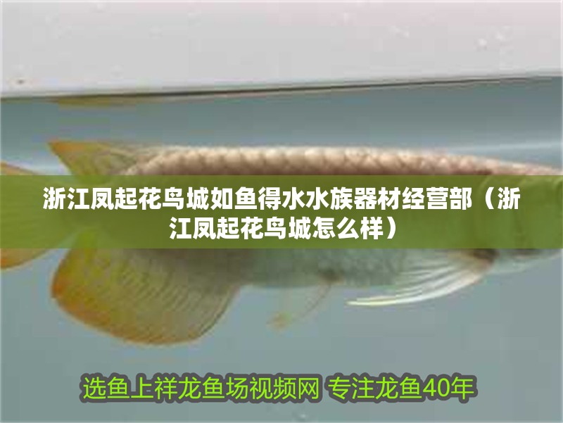浙江鳳起花鳥城如魚得水水族器材經營部（浙江鳳起花鳥城怎么樣）