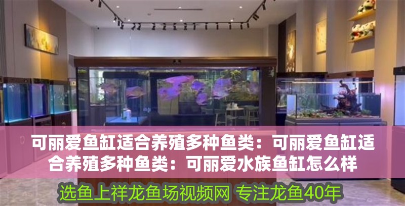 可麗愛魚缸適合養殖多種魚類：可麗愛魚缸適合養殖多種魚類：可麗愛水族魚缸怎么樣