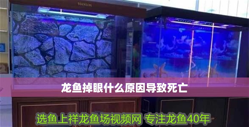 龍魚掉眼什么原因導致死亡