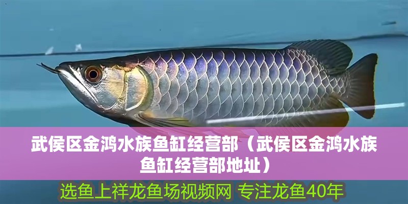 武侯區金鴻水族魚缸經營部（武侯區金鴻水族魚缸經營部地址）