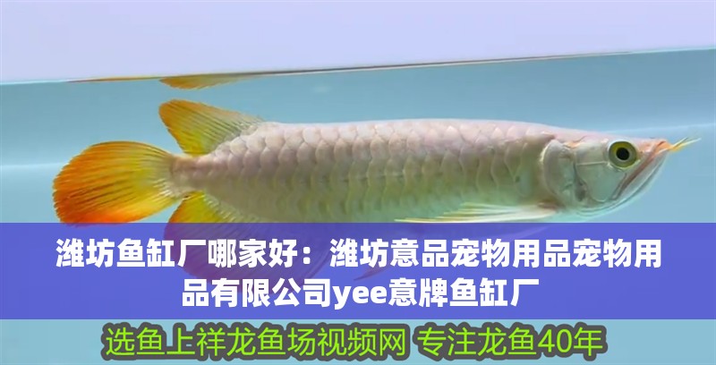 濰坊魚缸廠哪家好：濰坊意品寵物用品寵物用品有限公司yee意牌魚缸廠