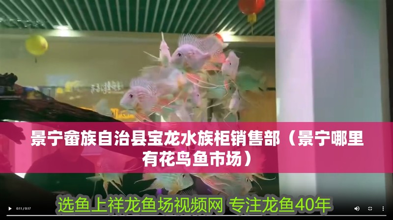 景寧畬族自治縣寶龍水族柜銷售部（景寧哪里有花鳥魚市場）