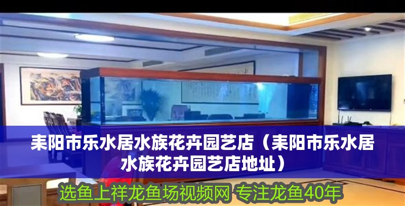 耒陽市樂水居水族花卉園藝店(耒陽市樂水居水族花卉園藝店地址) 全國水族館企業(yè)名錄 第2張 耒陽市樂水居水族花卉園藝店(耒陽市樂水居水族花卉園藝店地址) 耒陽市樂水居水族花卉園藝店(耒陽市樂水居水族花卉園藝店地址) 全國水族館企業(yè)名錄 第2張