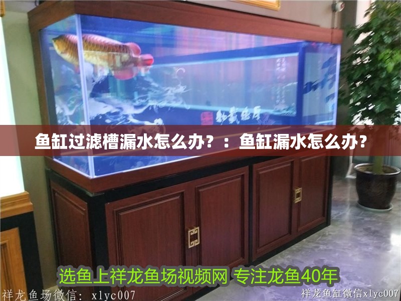 魚缸過濾槽漏水怎么辦？：魚缸漏水怎么辦？