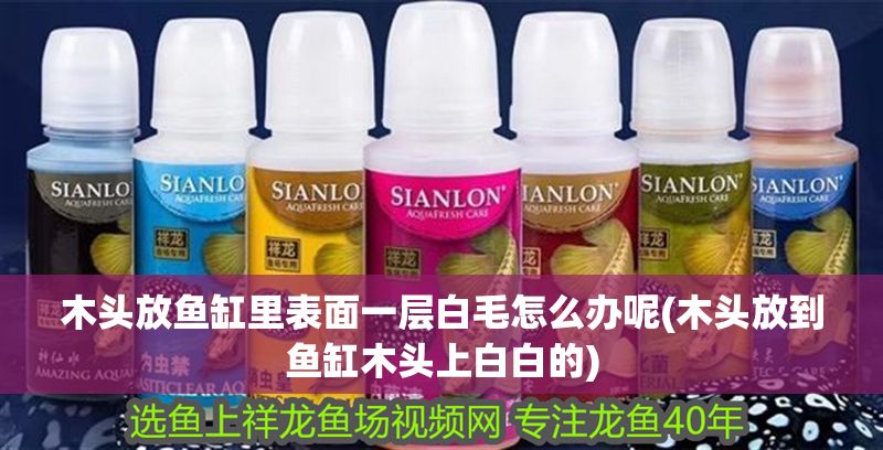 龍虎預測方法，古老智慧與現代應用的完美結合，古老智慧與現代科技的融合，揭秘龍虎預測的玄機