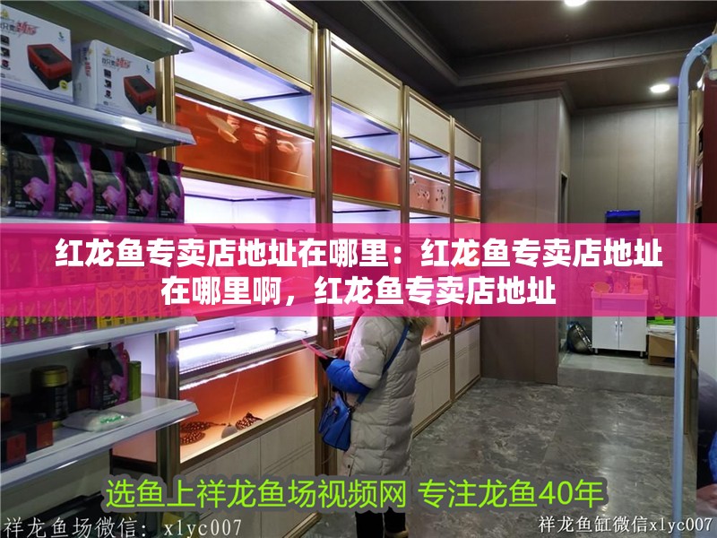 紅龍魚專賣店地址在哪里：紅龍魚專賣店地址在哪里啊，紅龍魚專賣店地址