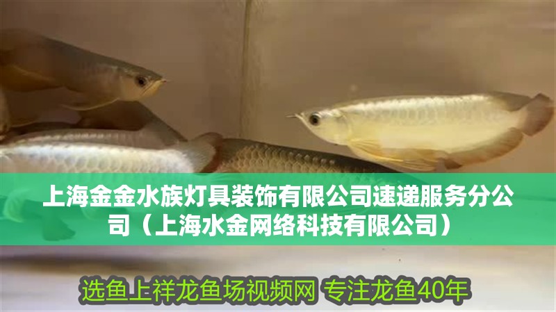上海金金水族燈具裝飾有限公司速遞服務(wù)分公司（上海水金網(wǎng)絡(luò)科技有限公司）
