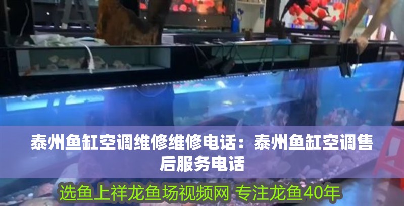 泰州魚缸空調(diào)維修維修電話：泰州魚缸空調(diào)售后服務(wù)電話 泰州魚缸空調(diào)維修維修電話：泰州魚缸空調(diào)售后服務(wù)電話 魚缸百科