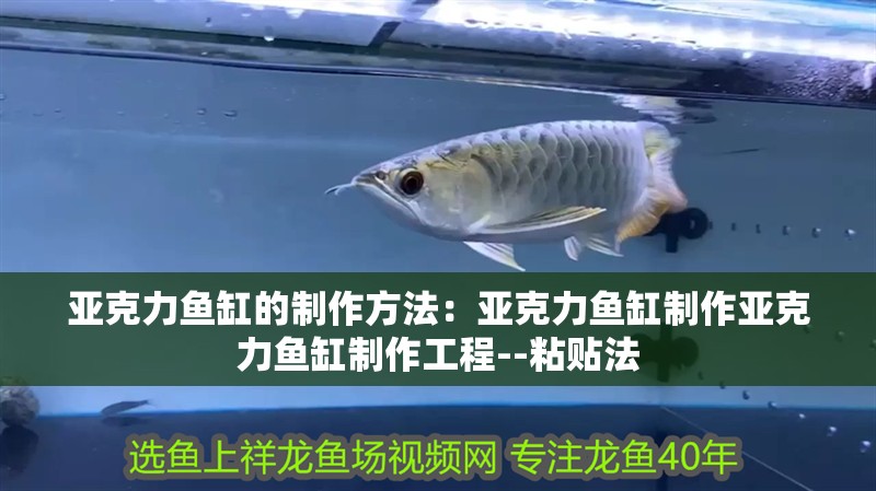 亞克力魚缸的制作方法：亞克力魚缸制作亞克力魚缸制作工程--粘貼法
