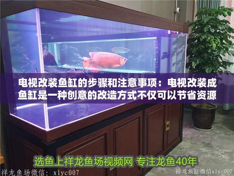 電視改裝魚缸的步驟和注意事項：電視改裝成魚缸是一種創意的改造方式不僅可以節省資源