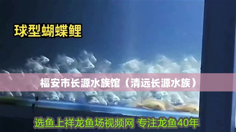福安市長源水族館（清遠(yuǎn)長源水族）